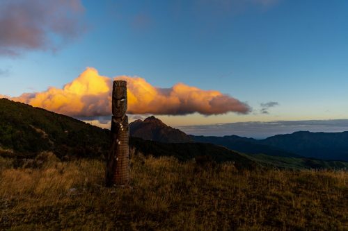 mount hikurangi 08